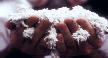 Eternit a Casale Monferrato: è arrivata la sentenza