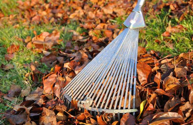 cosa fare in autunno in giardino