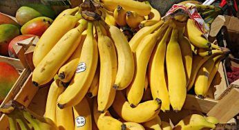 Banane, hai sempre buttato questa parte ma è un grosso errore