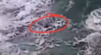 E’ in balia delle onde e della corrente: si teme il peggio – VIDEO