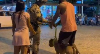 Arrestato un pit monster: increduli padroni e presenti – il VIDEO spiega cosa è successo