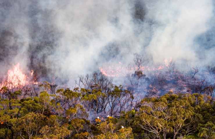 come fermare il fuoco in natura