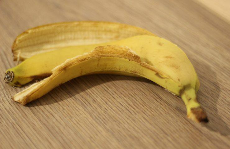 banana frutto 