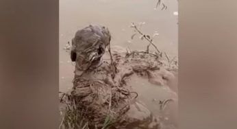 Quello che trova intrappolato e avvolto dal fango è spaventoso: un gesto orribile