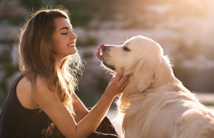 giornata mondiale cane