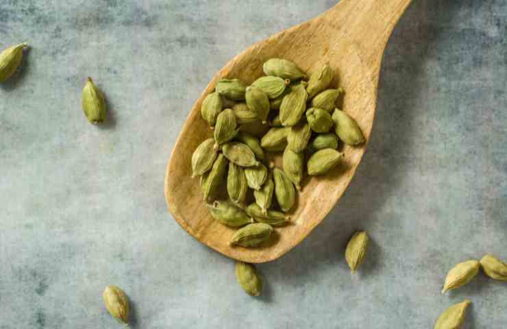 cardamomo india