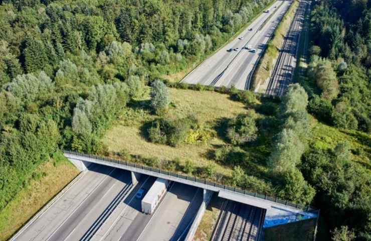 corridoio ecologico ambiente