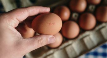 Pellicola biodegradabile per indicare la scadenza dei prodotti: l’invenzione