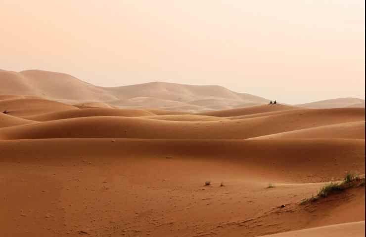 cambiamenti climatici conseguenze