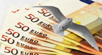 Le nuove banconote che potrebbero celebrare gli uccelli: il sondaggio della BCE