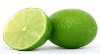 Frutti del limone ancora verdi: perché accade
