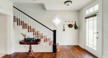 Come rendere irresistibile la tua casa con le piante: parti da questo