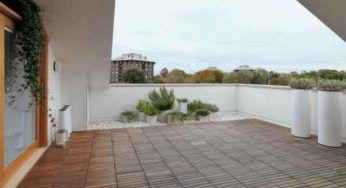 Vespe e api che invadono il balcone: per mandarle via basta fare così