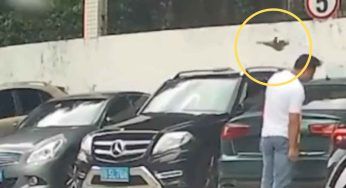 “Salto ce la faccio” no, non ce la fa: il VIDEO divertente