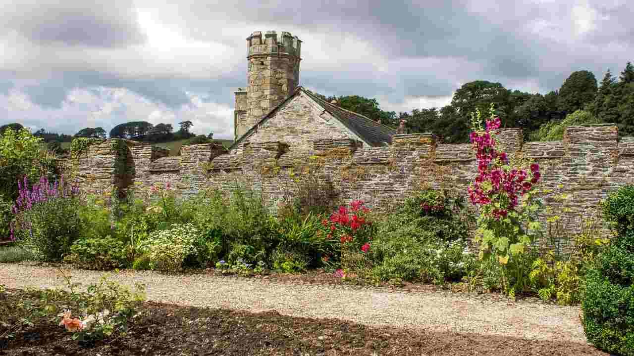 giardino inglese cespugli