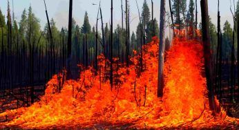 Hawaii, il bilancio dei morti sale e le autorità ammettono che…