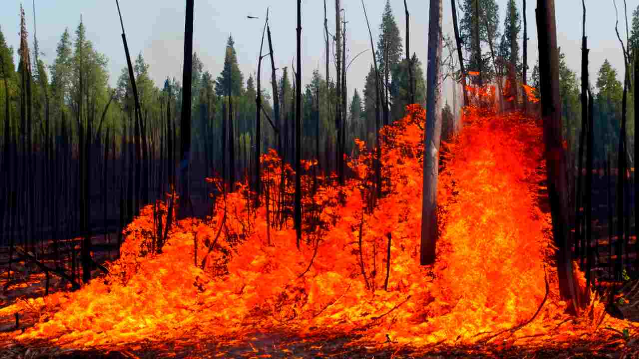 incendio Hawaii 111 morti