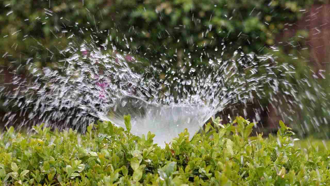 agosto irrigazione esatta