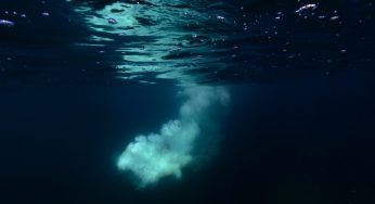 NON fare MAI il bagno qui: i luoghi più pericolosi al mondo