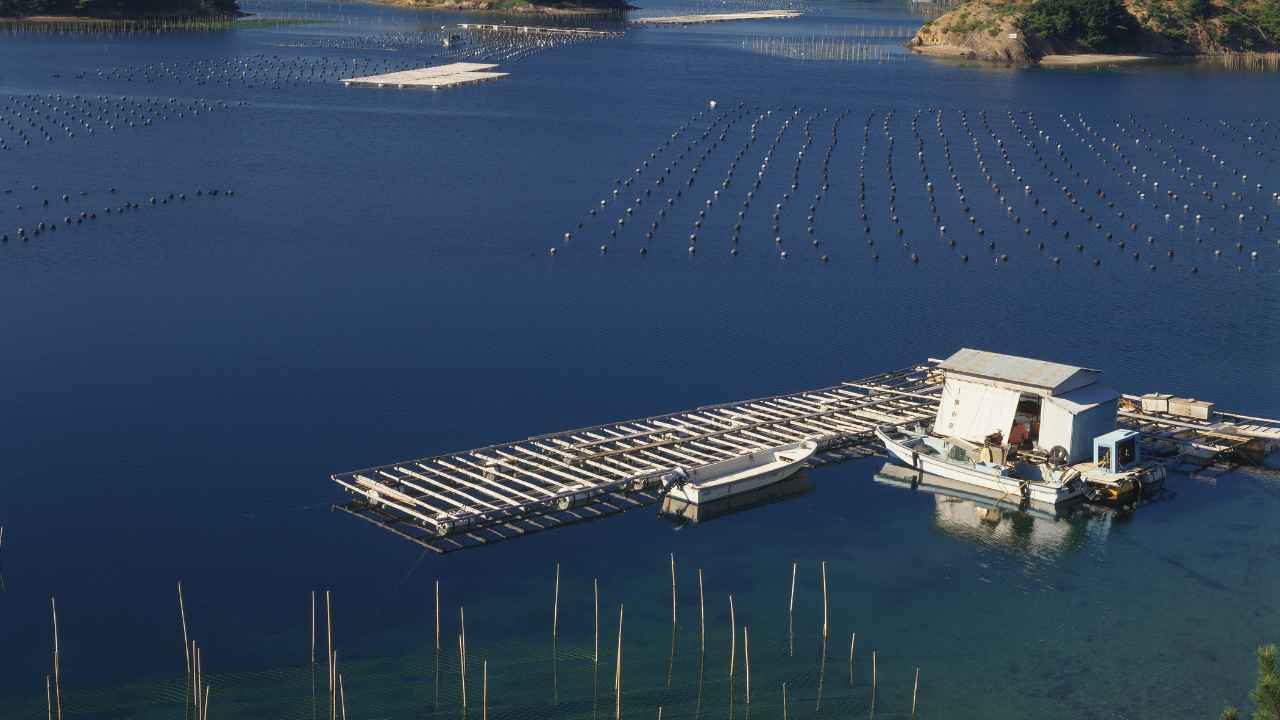 ragazzo folgorato in acqua lago