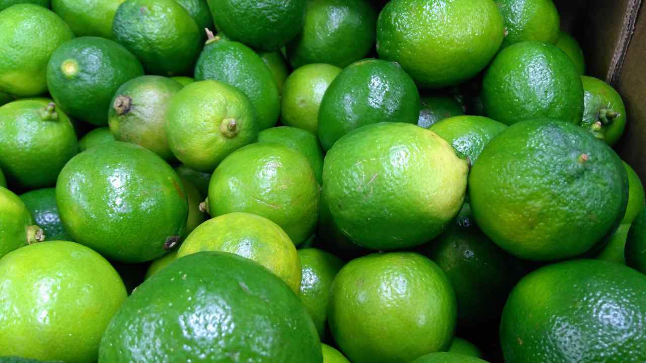 limone verdello sagra sicilia