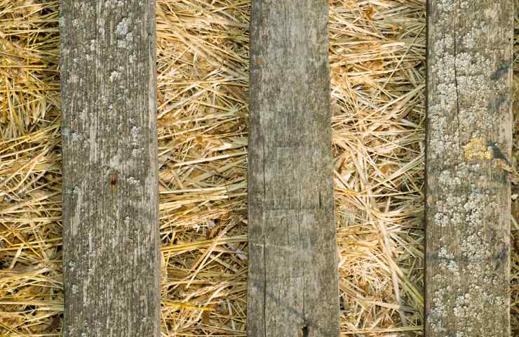 come si costruisce una casa con paglia e legno