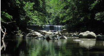 Emilia Romagna: riserve e parchi naturali da visitare
