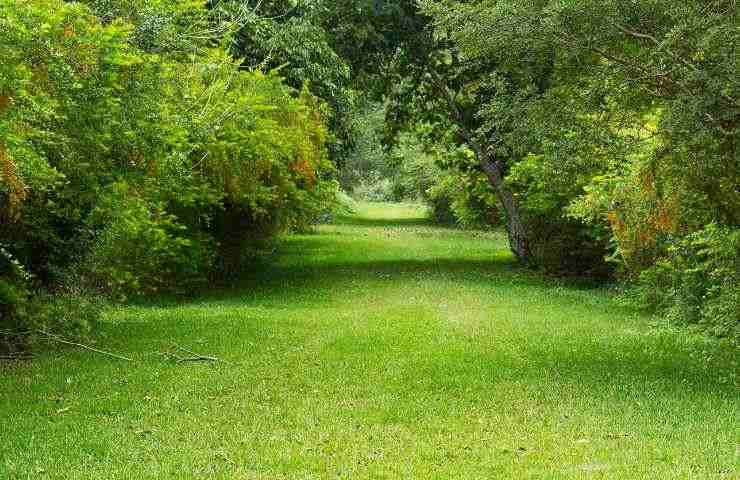 giardino artiglieri torino