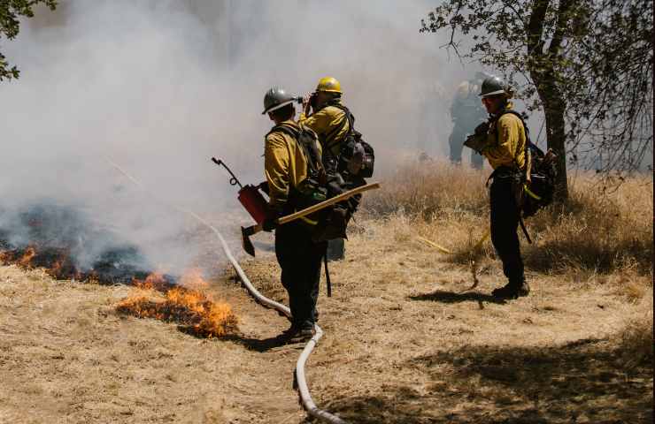 incendi boschivi cosa fare