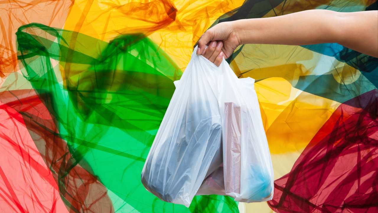 Porta Sacchetti Cucina Portasacchetti Da Parete In Plastica