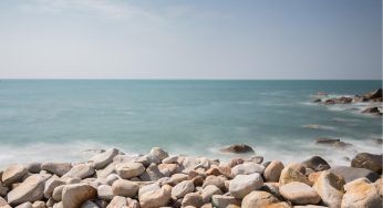 Rocce di plastica, in Brasile minacciano gli animali marini