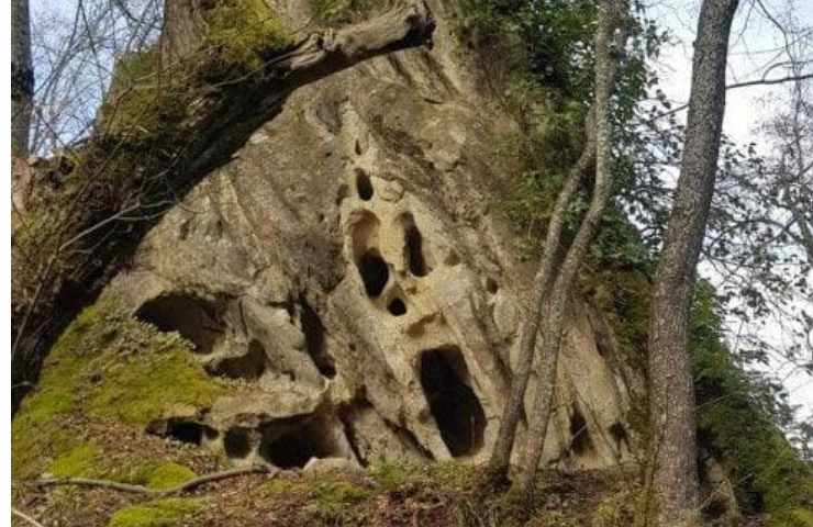 roccia che urla bologna