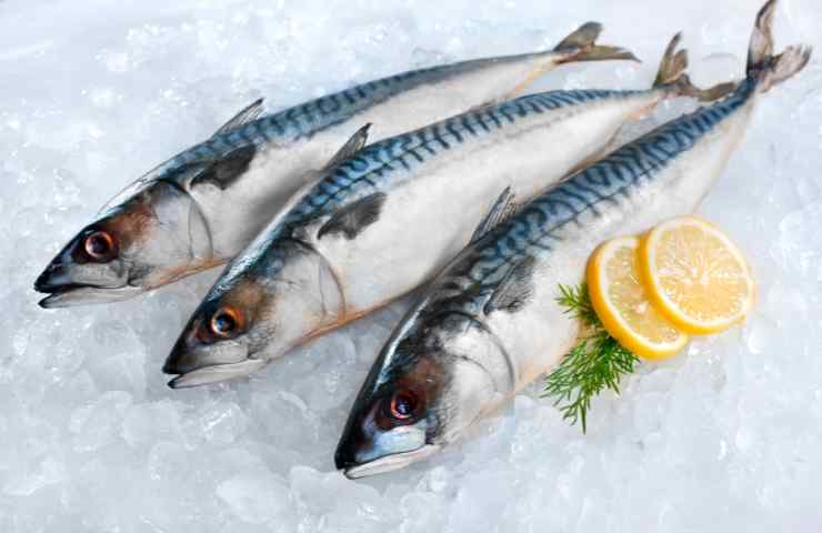 pesce migliore supermercato