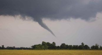 “Tornado di fuoco”: cosa sono e da dove hanno origine