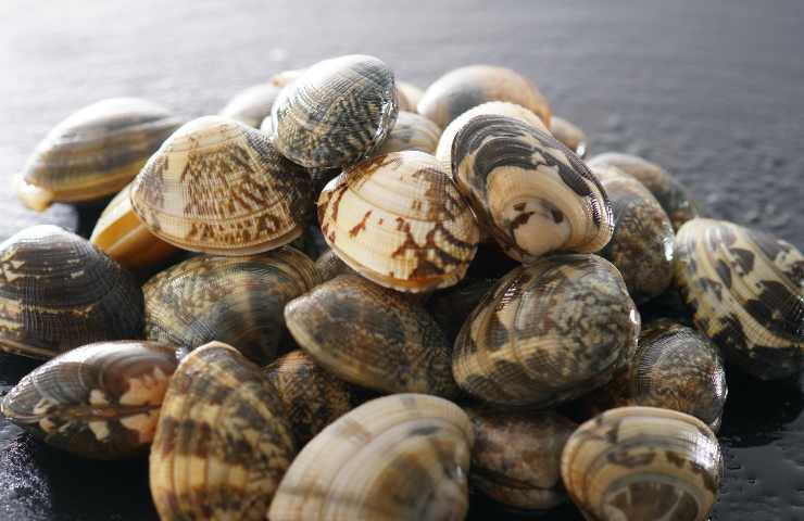 molluschi contaminati