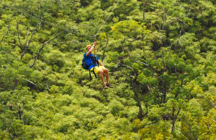 zipline natura