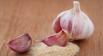 Aglio in polvere fuori dalla porta di casa: la soluzione ad un problema comune