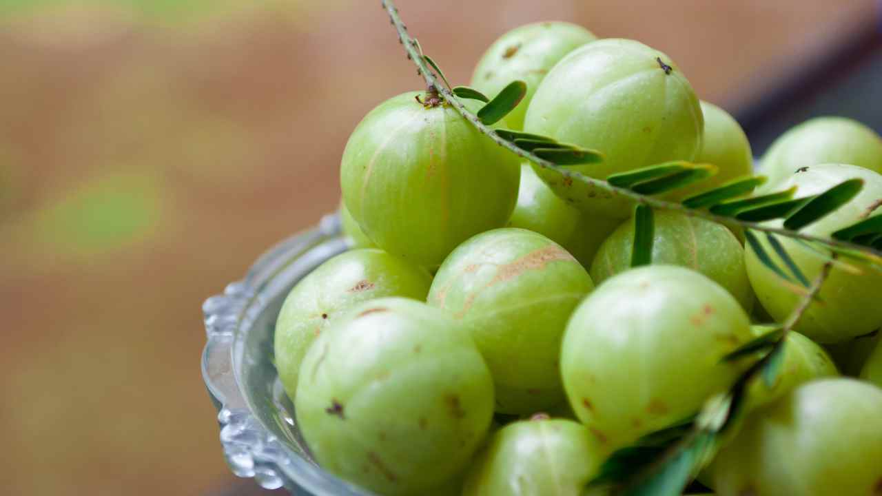 Capelli caduta crescita Amla