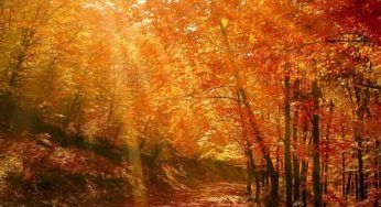 Equinozio d’autunno, nel 2023 sarà il 23 settembre: perché