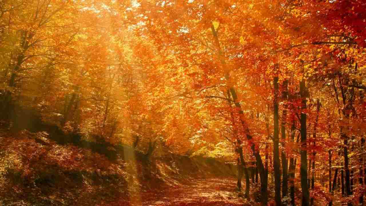 Equinozio d'autunno, nel 2023 sarà il 23 settembre perché