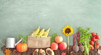 #IOPARLOBIO: la nuova campagna MASAF con testimonial famosissimi