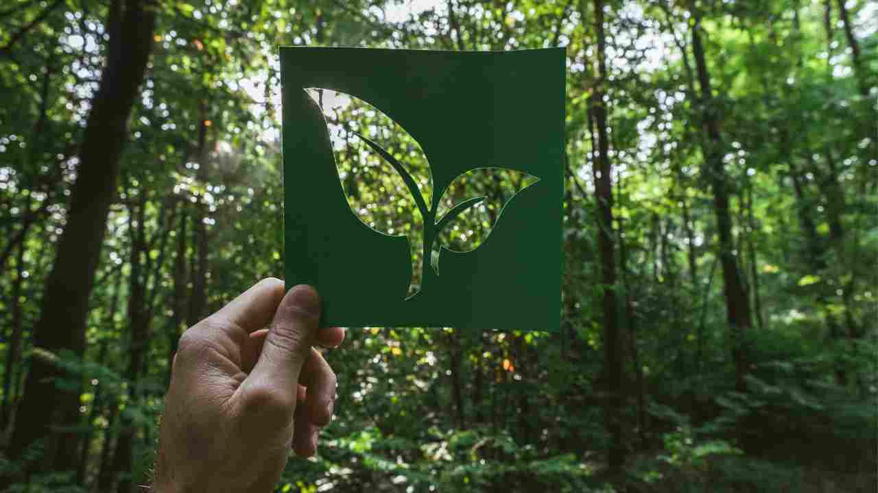 Società senza sprechi con pochi trucchi di ecosostenibilità