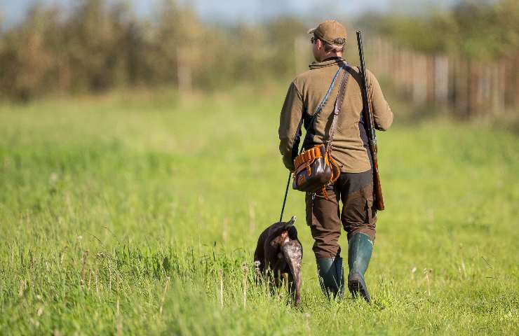 Stop alla caccia nelle zone alluvionate la richiesta in Emilia-Romagna