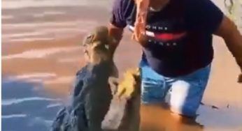 Si prende gioco del coccodrillo e va a finire cosi.. Il VIDEO “vietato ai deboli di cuore”