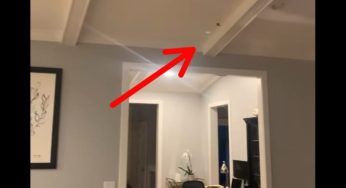 C’è un intruso in casa: è piccolo ma la donna non trattiene le urla – VIDEO