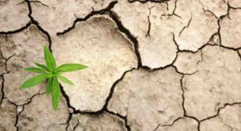 Stati Uniti, nel sud-ovest si formano profonde crepe nel terreno
