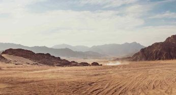 Sahara, da deserto ad area verde: cosa sta accadendo in Nord Africa