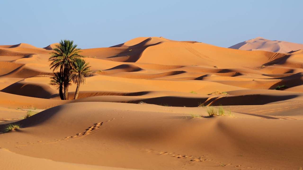 cosa vedere nel deserto del sahara