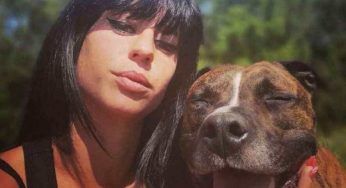 Elisa sbranata dal suo pitbull, il giallo di Curtis: che fine ha fatto il cane