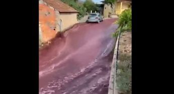 Portogallo, 2,2 milioni di vino si riversano nella città: è rischio ambientale – VIDEO